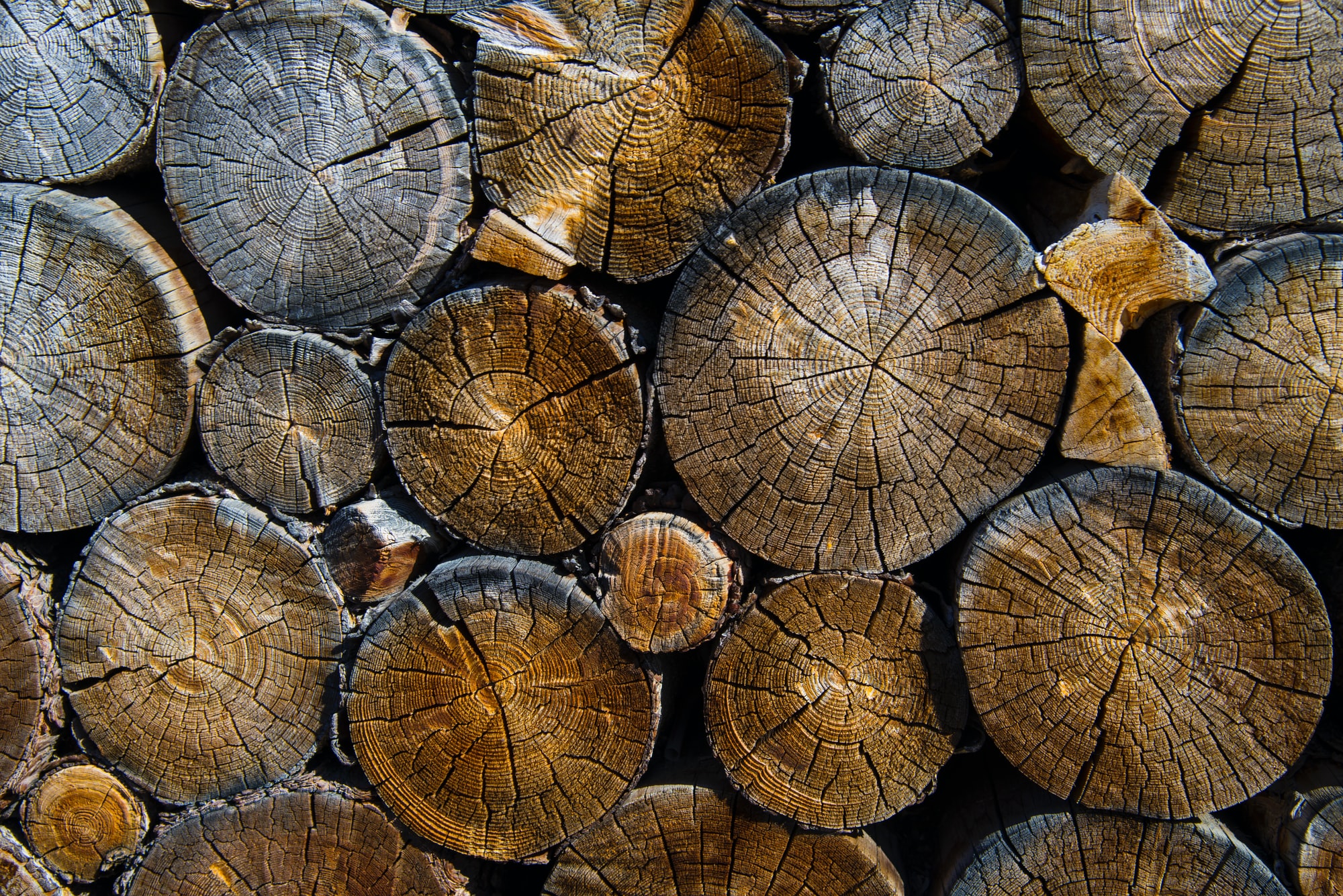 Stock photo of wood